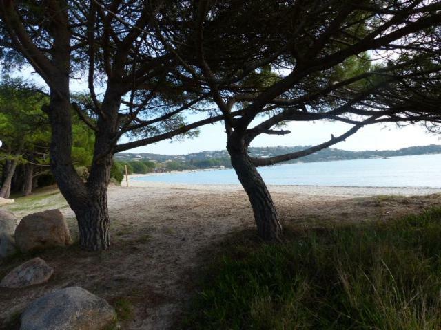 Luna verde Porto Vecchio Exterior foto